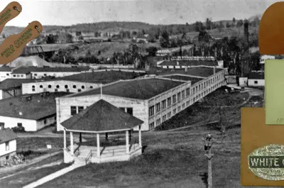 image of leather from the Anglo Canadian Leather Company