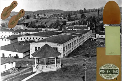 image of leather from the Anglo Canadian Leather Company